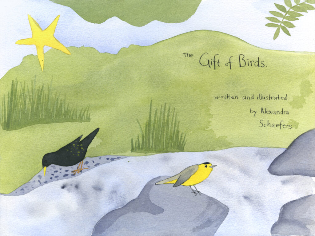 Book title pages with illustration of a creek, European starling and Wilson's warbler. Handwritten text reads, "The Gift of Birds. Written and illustrated by Alexandra Schaefers"