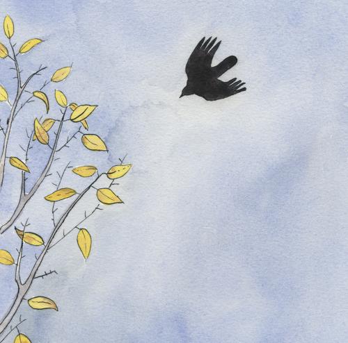 Autumn Crow alexandra schaefers (1)