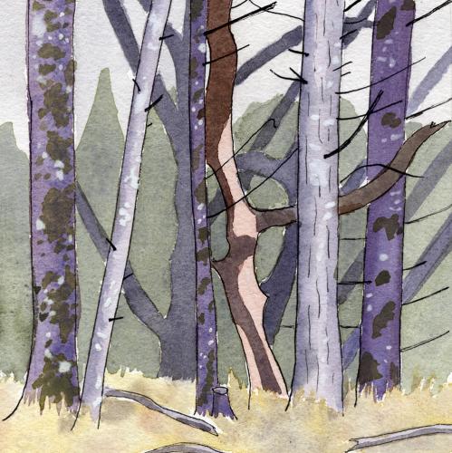 Fitton Green Trees