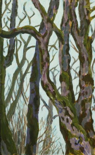 Oaks of Stewart Slough